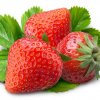 Alimentos
