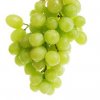 Alimentos