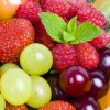 Alimentos